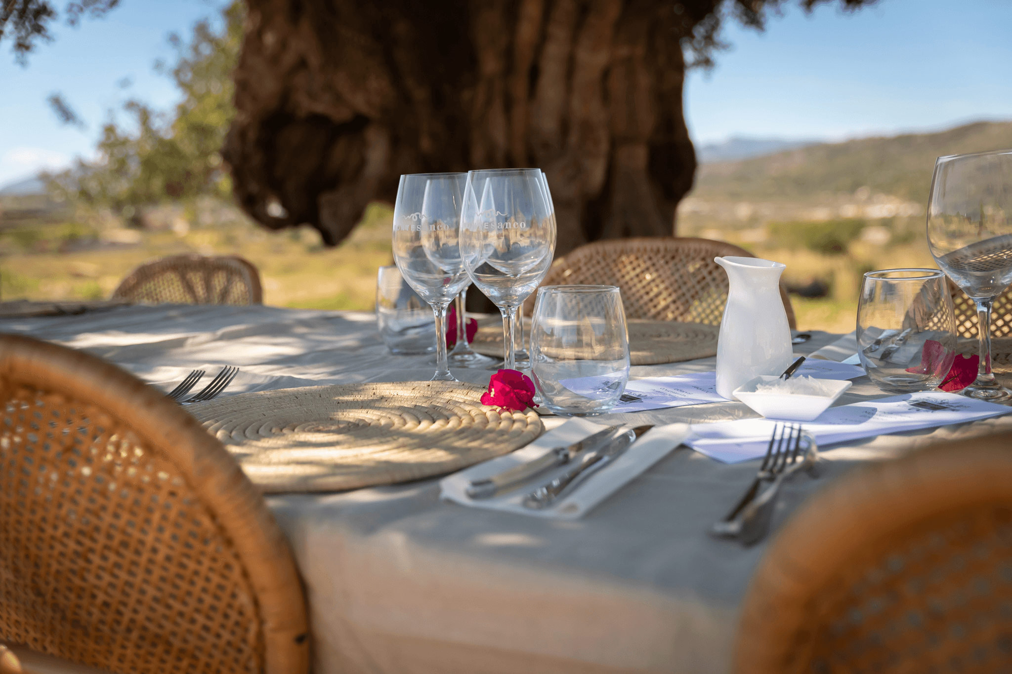 Menú de maridaje de vinos en Teulada
