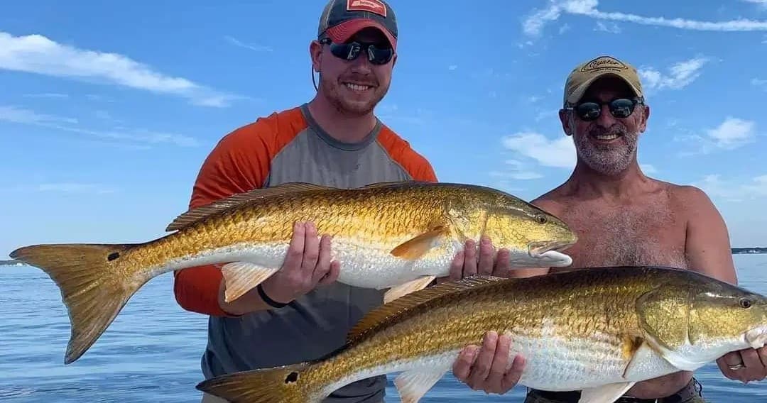 Four Hour Inshore Trip