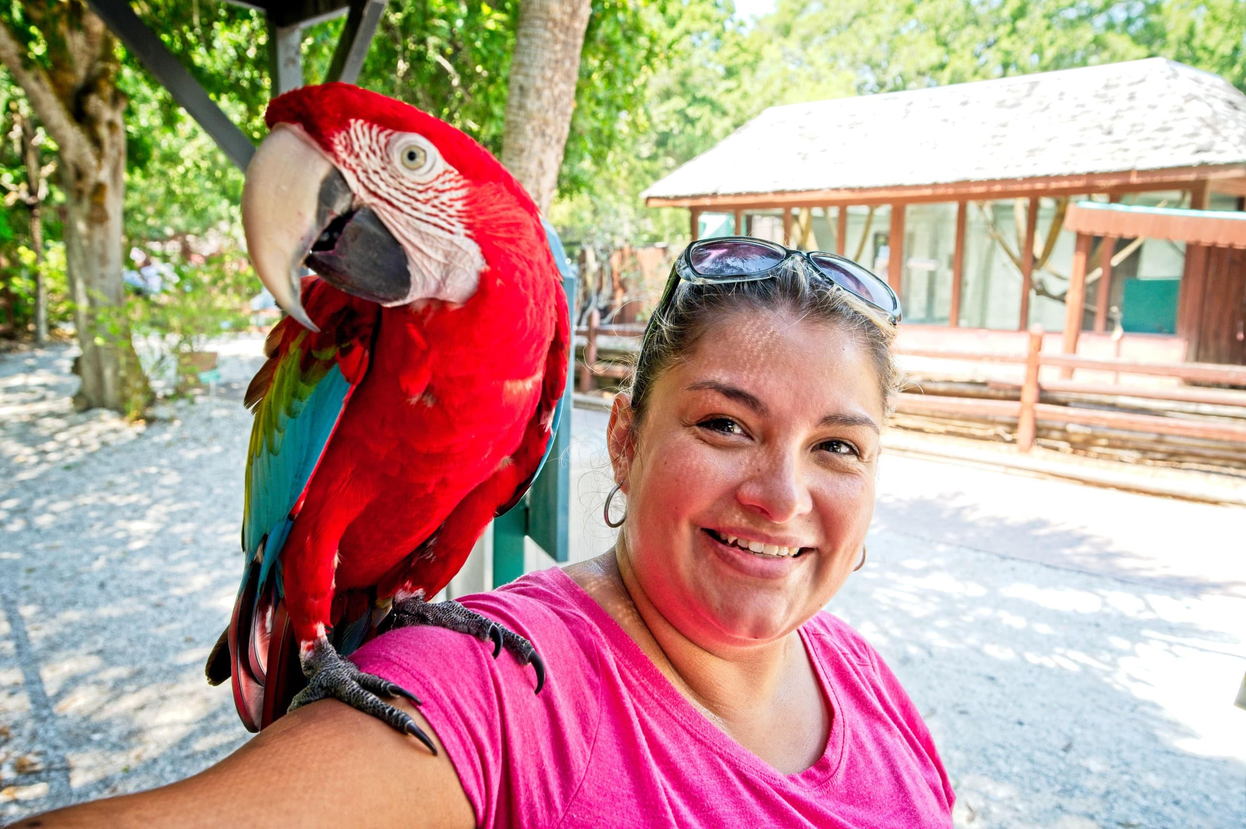 Bird Encounter