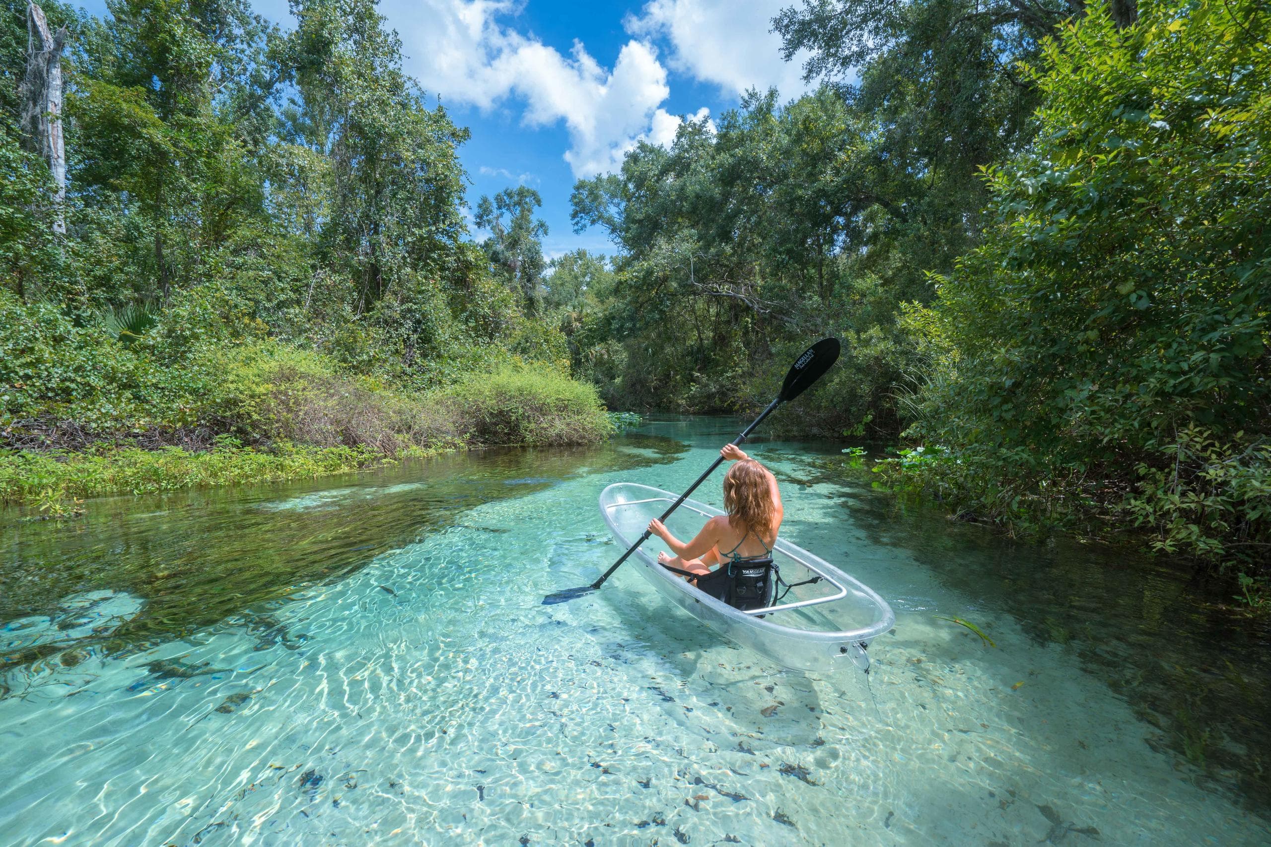 Rock Springs Clear Kayak Tour