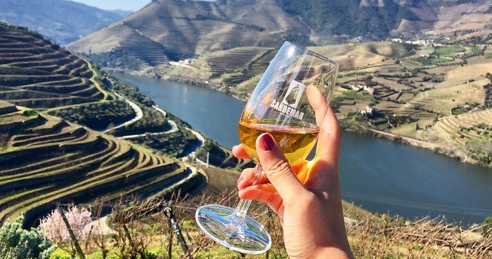 Vale do Douro Enoturismo