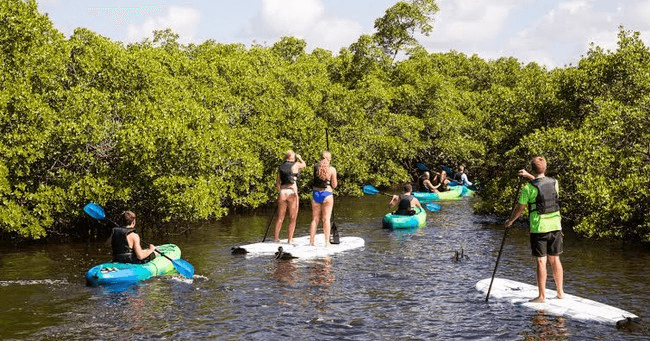 5 Hour Kayak and Paddleboard Rental at AWE Marina