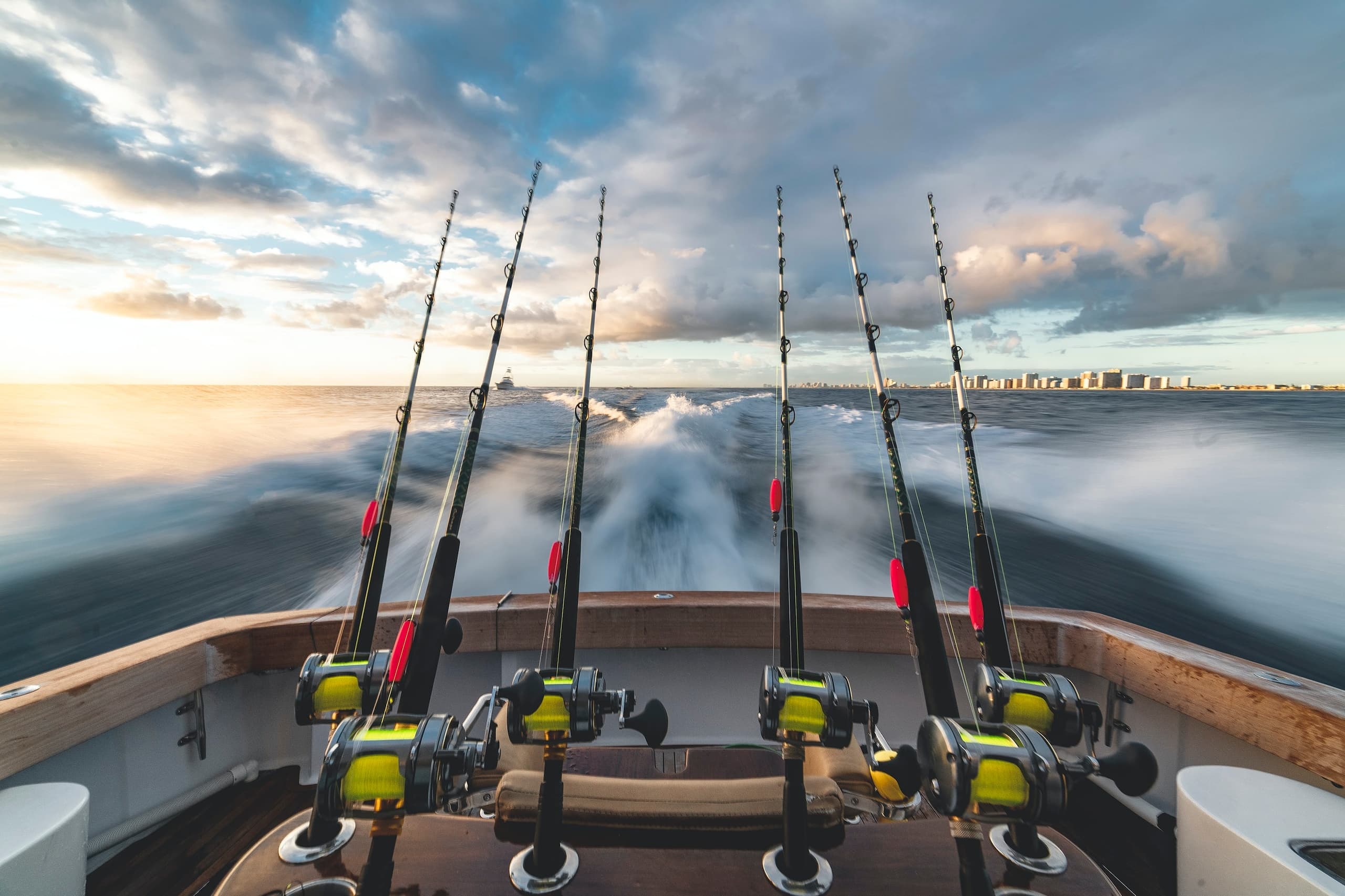 Reef & Wreck Fishing Charter