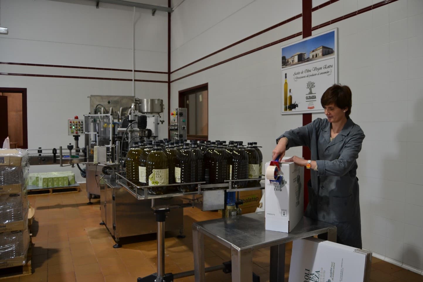 Visita guiada a una Almazara + cata de AOVE
