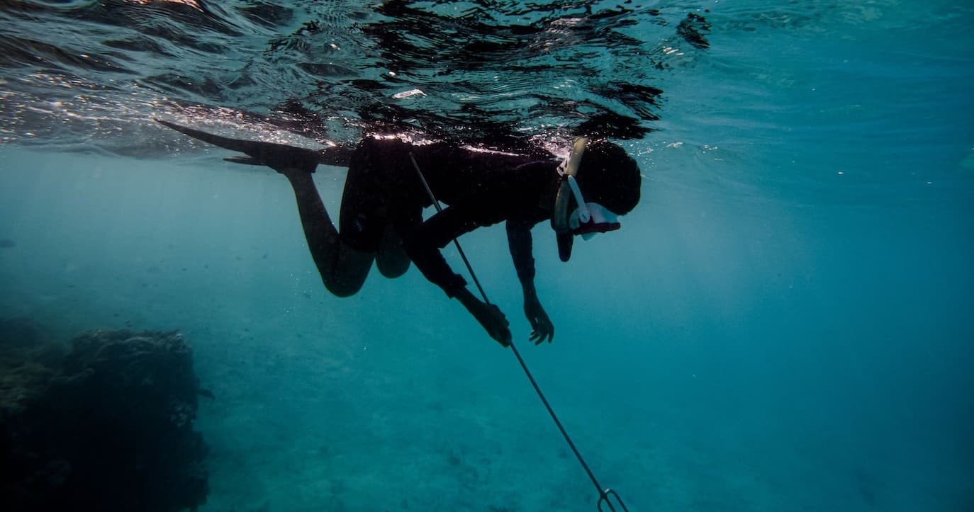 Spearfishing Charter