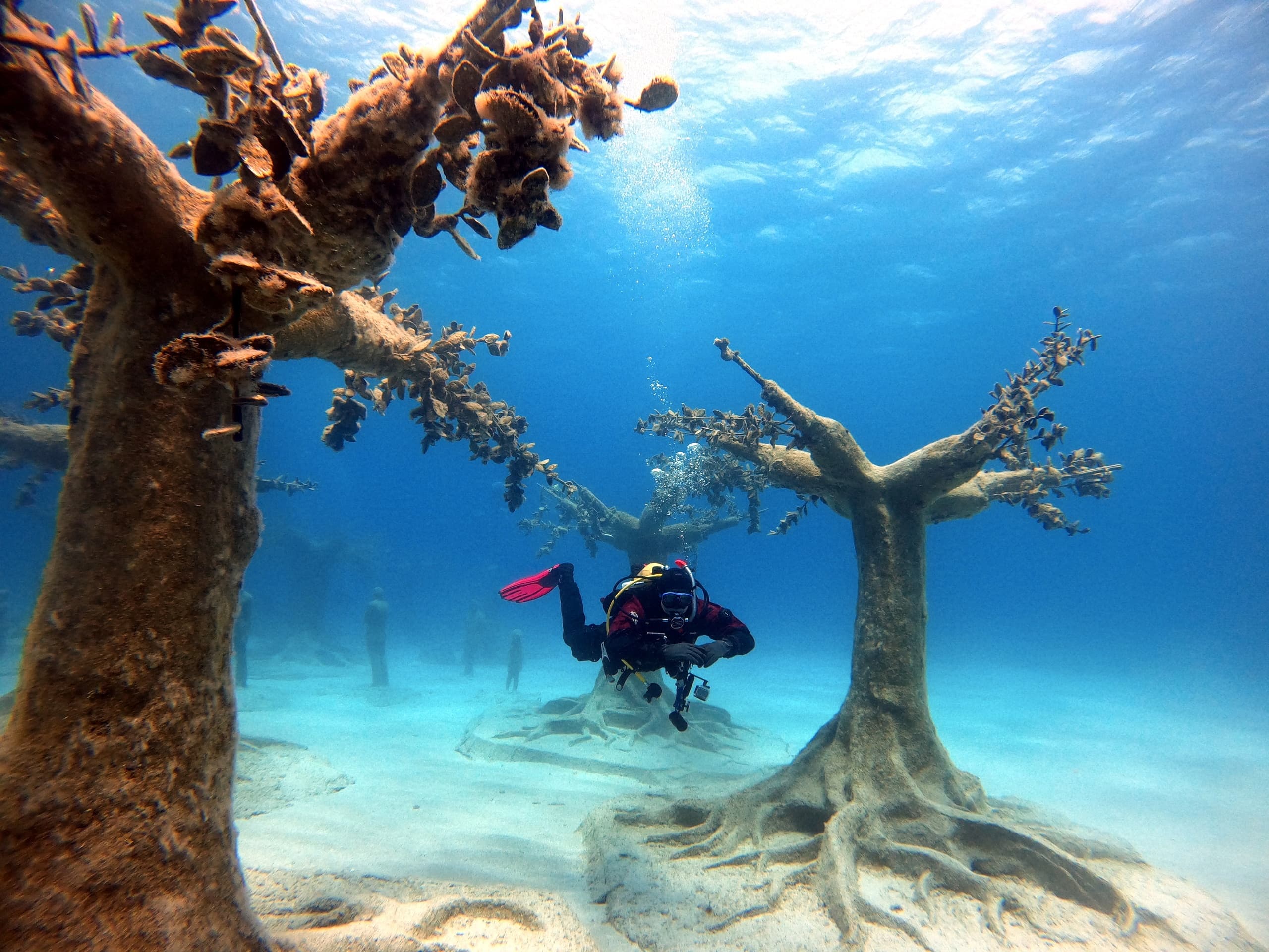 MUSAN Dive for Beginners