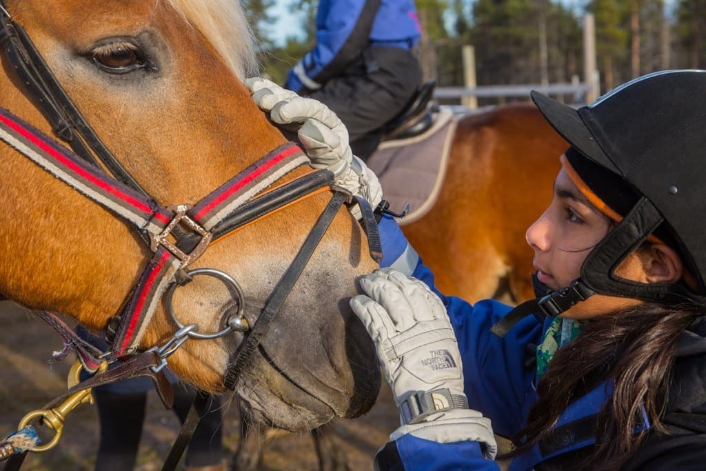 Horseback Riding in Lappish Forest