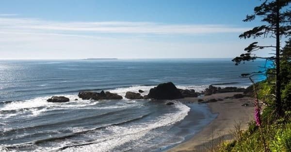 Olympic National Park Tour