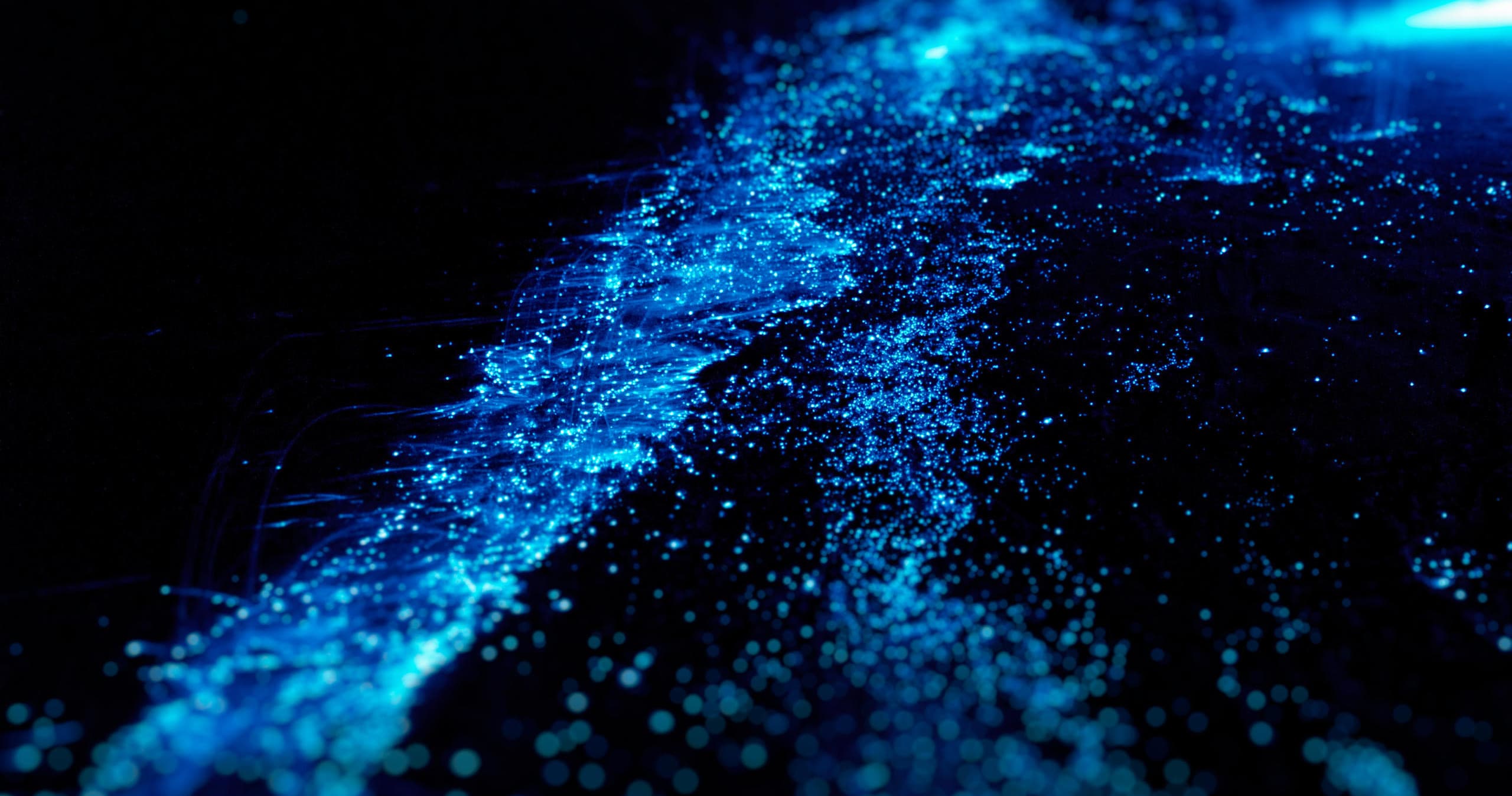 Bioluminescence Kayak