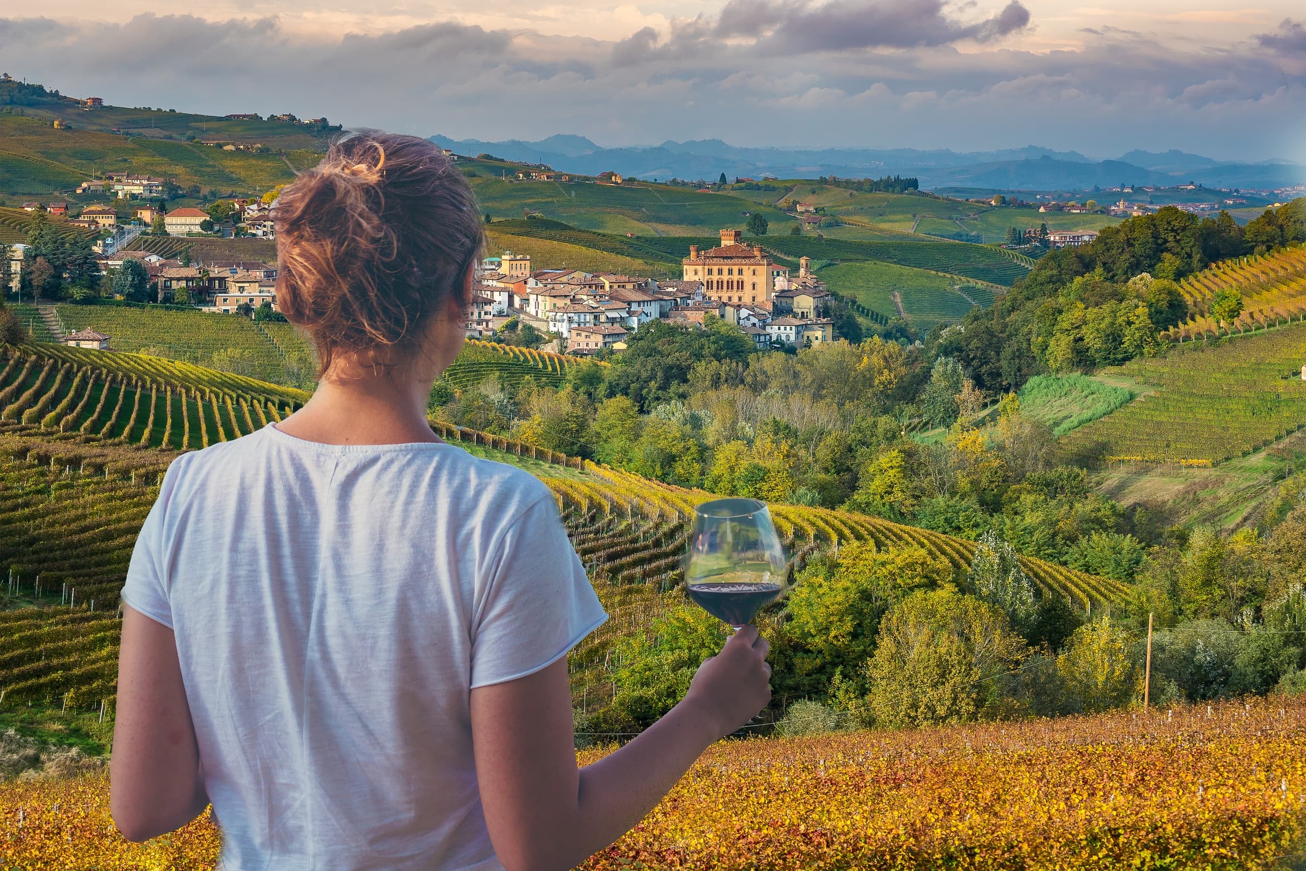 Langhe Wine Experience