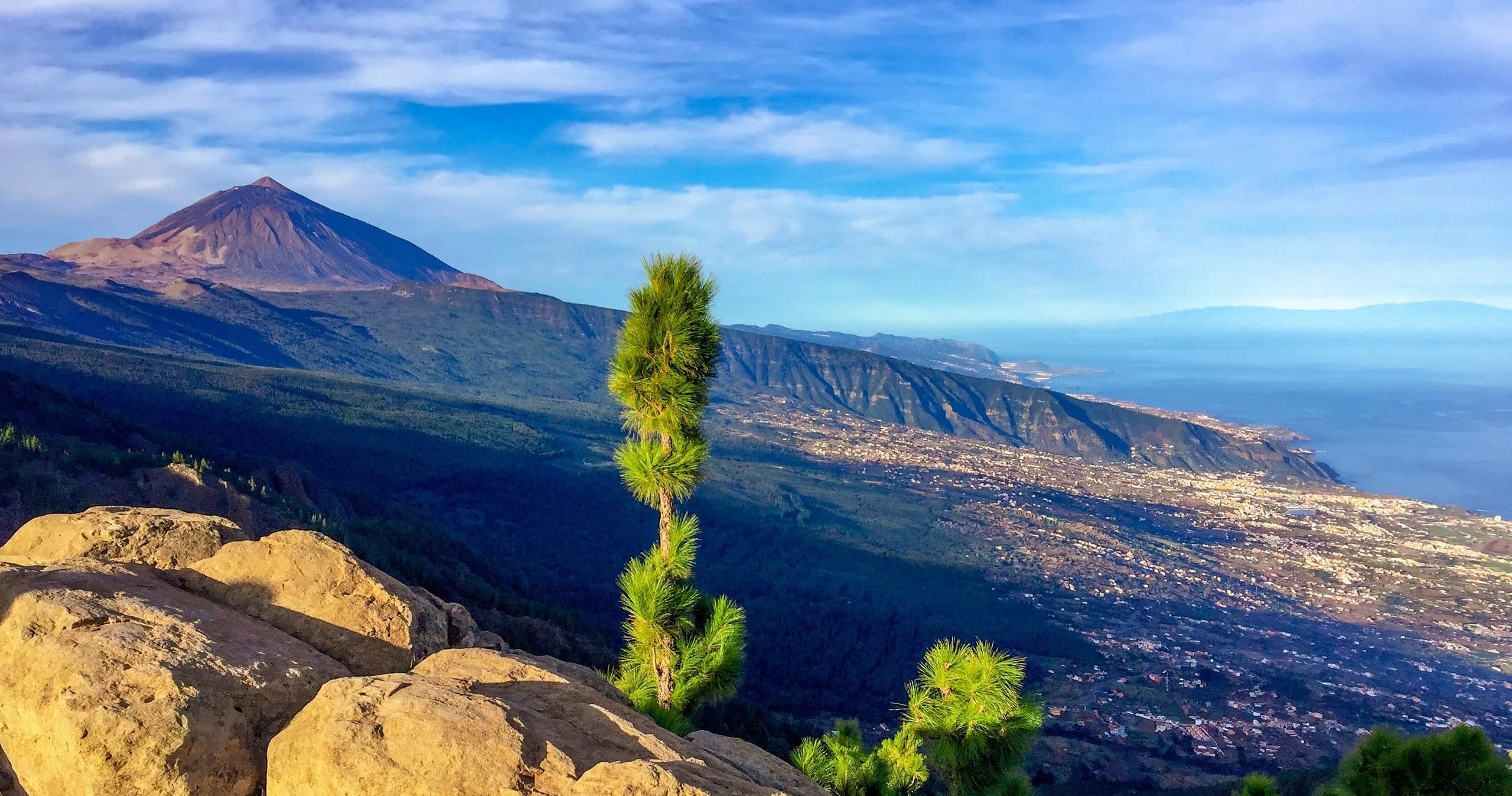 TENERIFE, tierra de contrastes y sabores