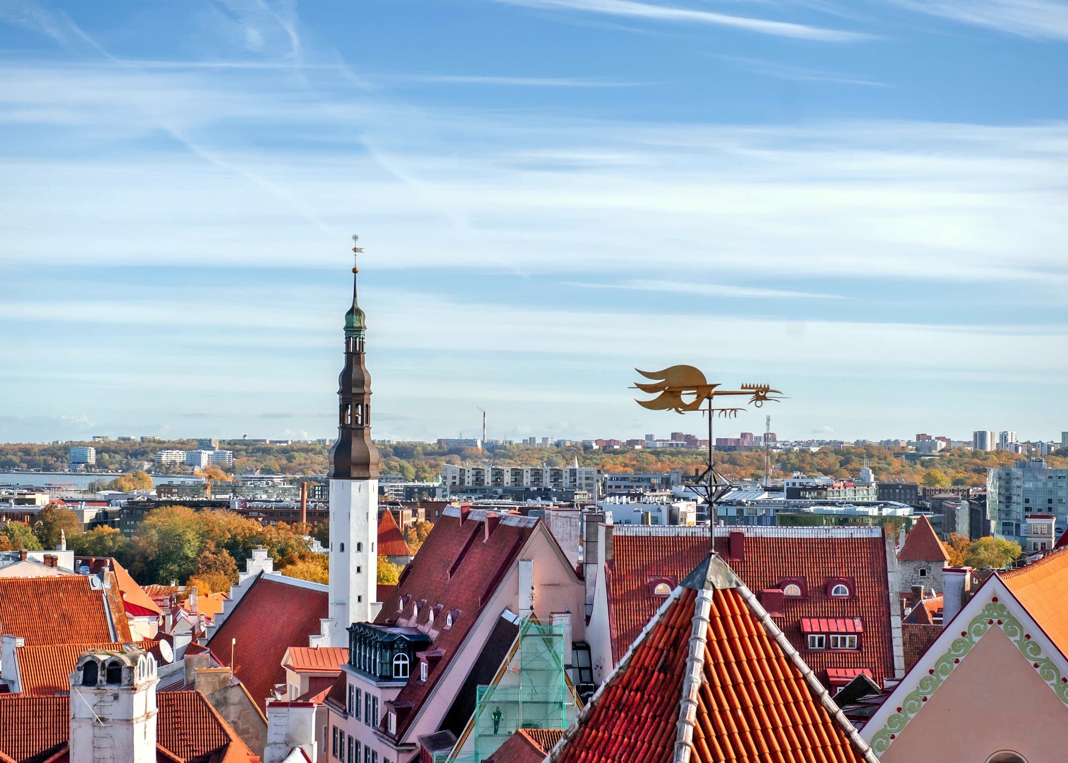 Free Tour por Tallin
