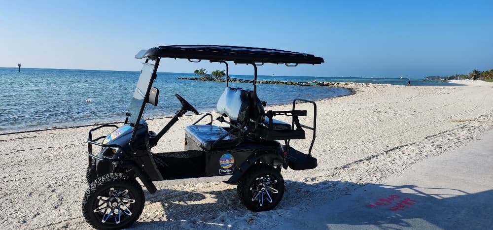 4 Person Golf Cart