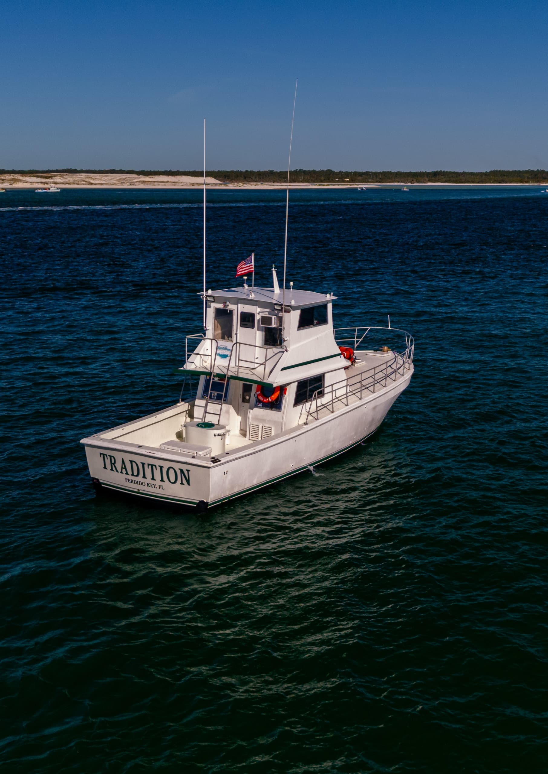 Two Hour Dolphin Cruise on 48’ “Tradition”