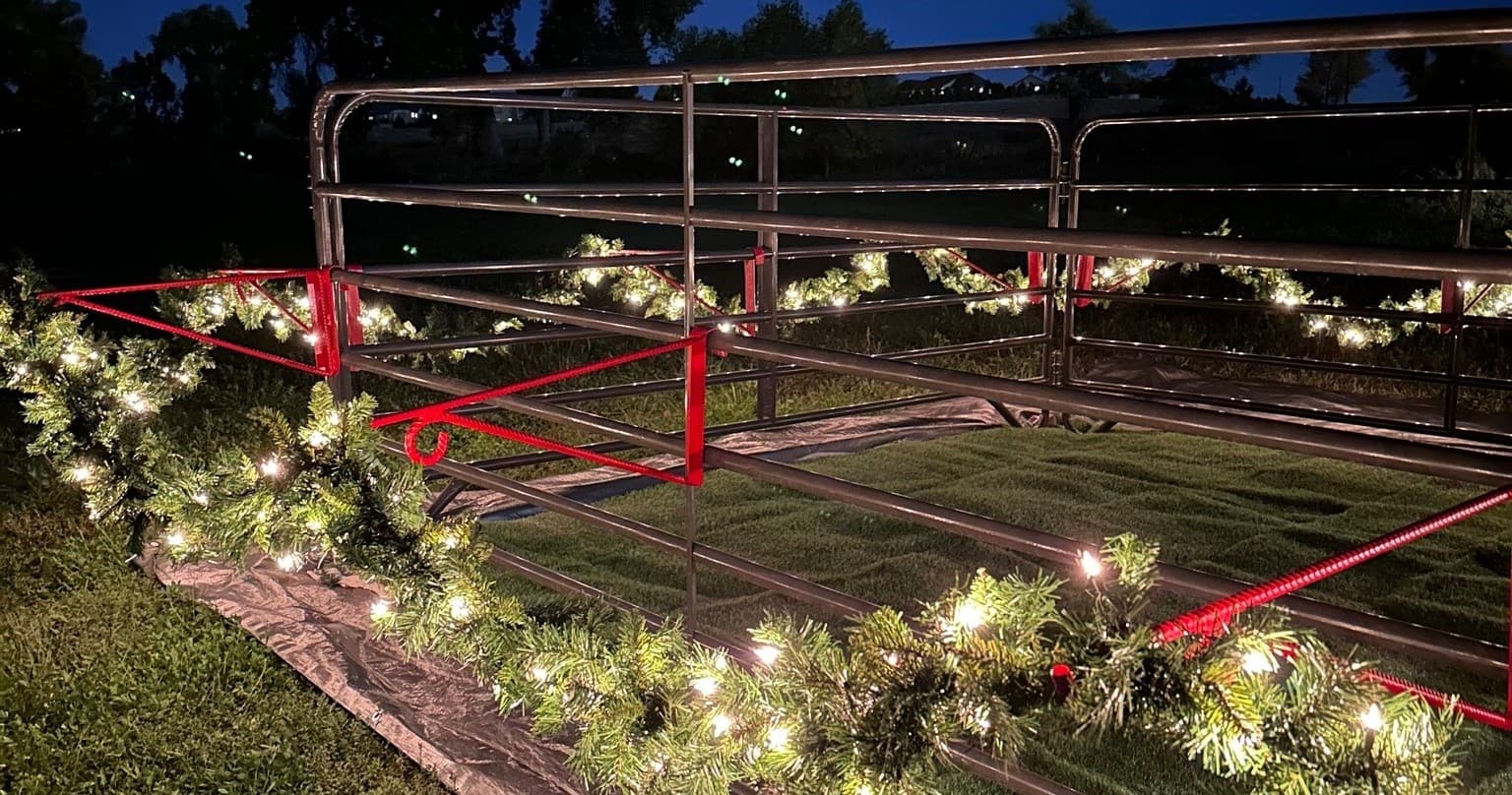 Private Reindeer Events