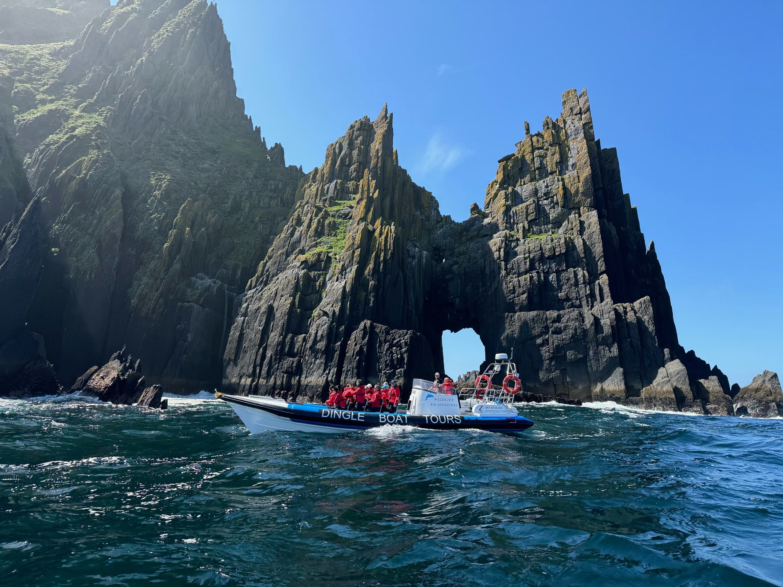 Dingle Boat Tours Wildlife RIB Adventure