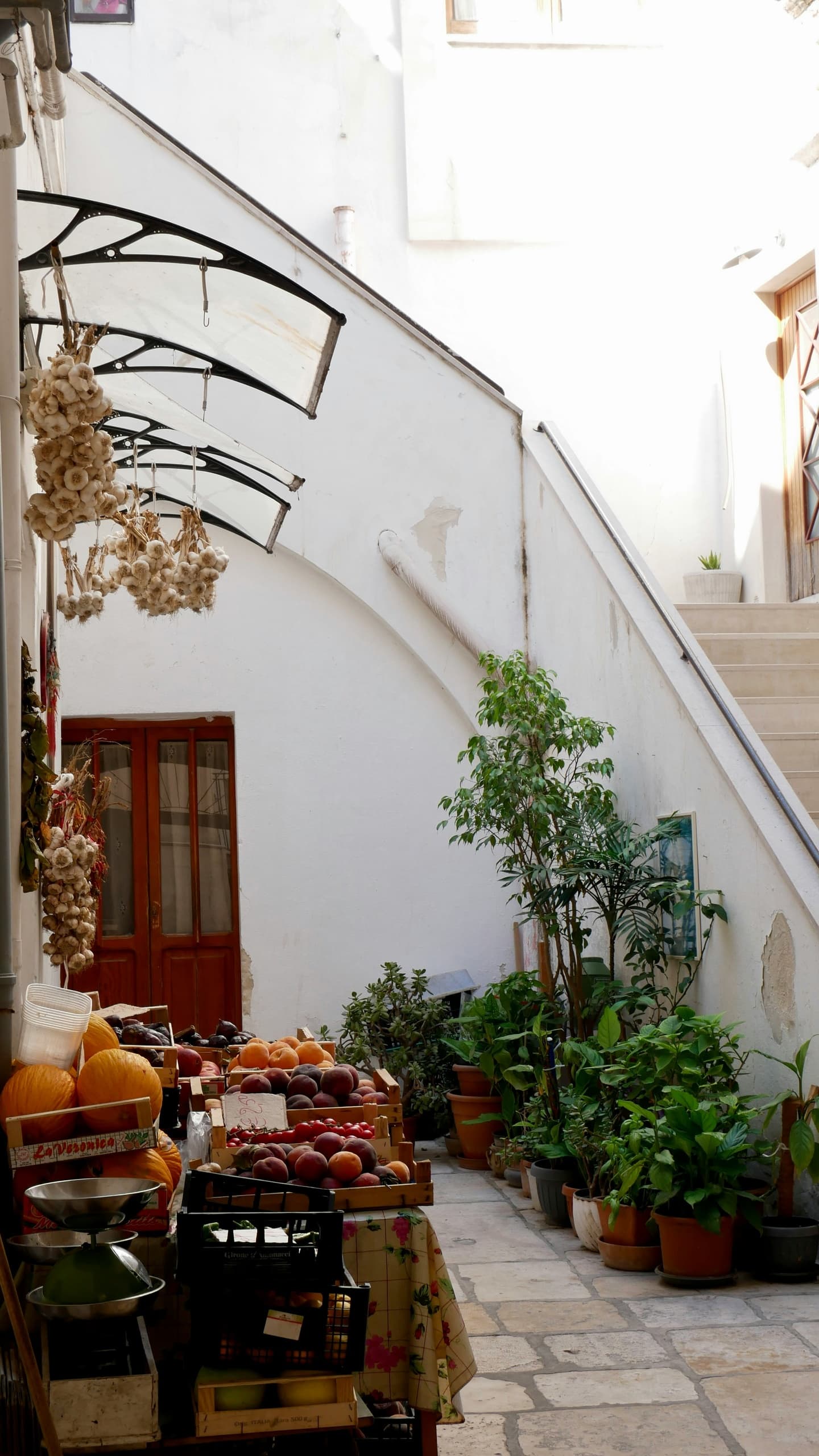 Bari Street Food Tour a piedi