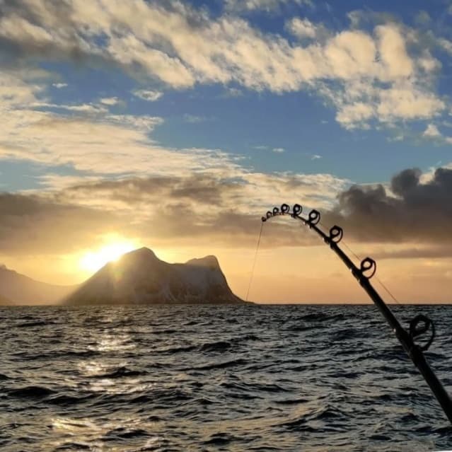 Fishing trip in the Arctic waters