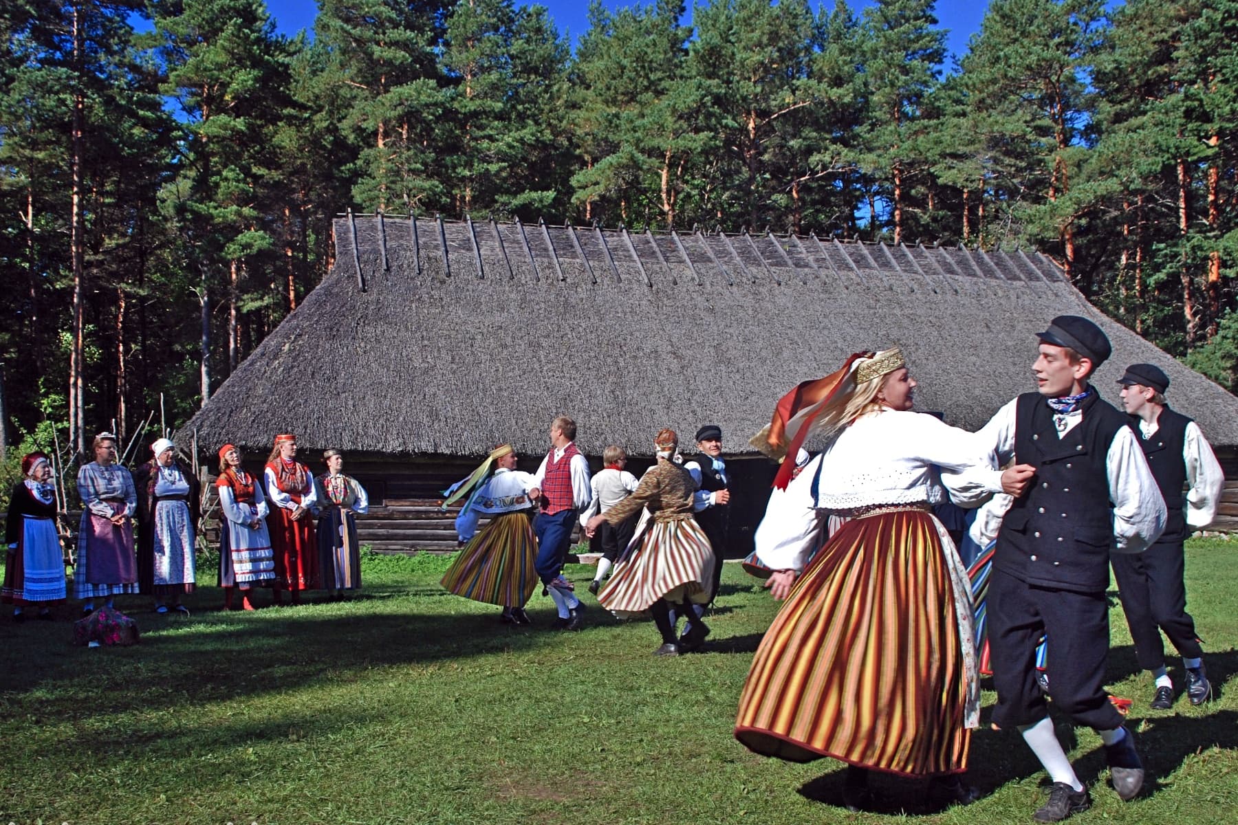 Visita guiada al Museo al Aire Libre de Estonia