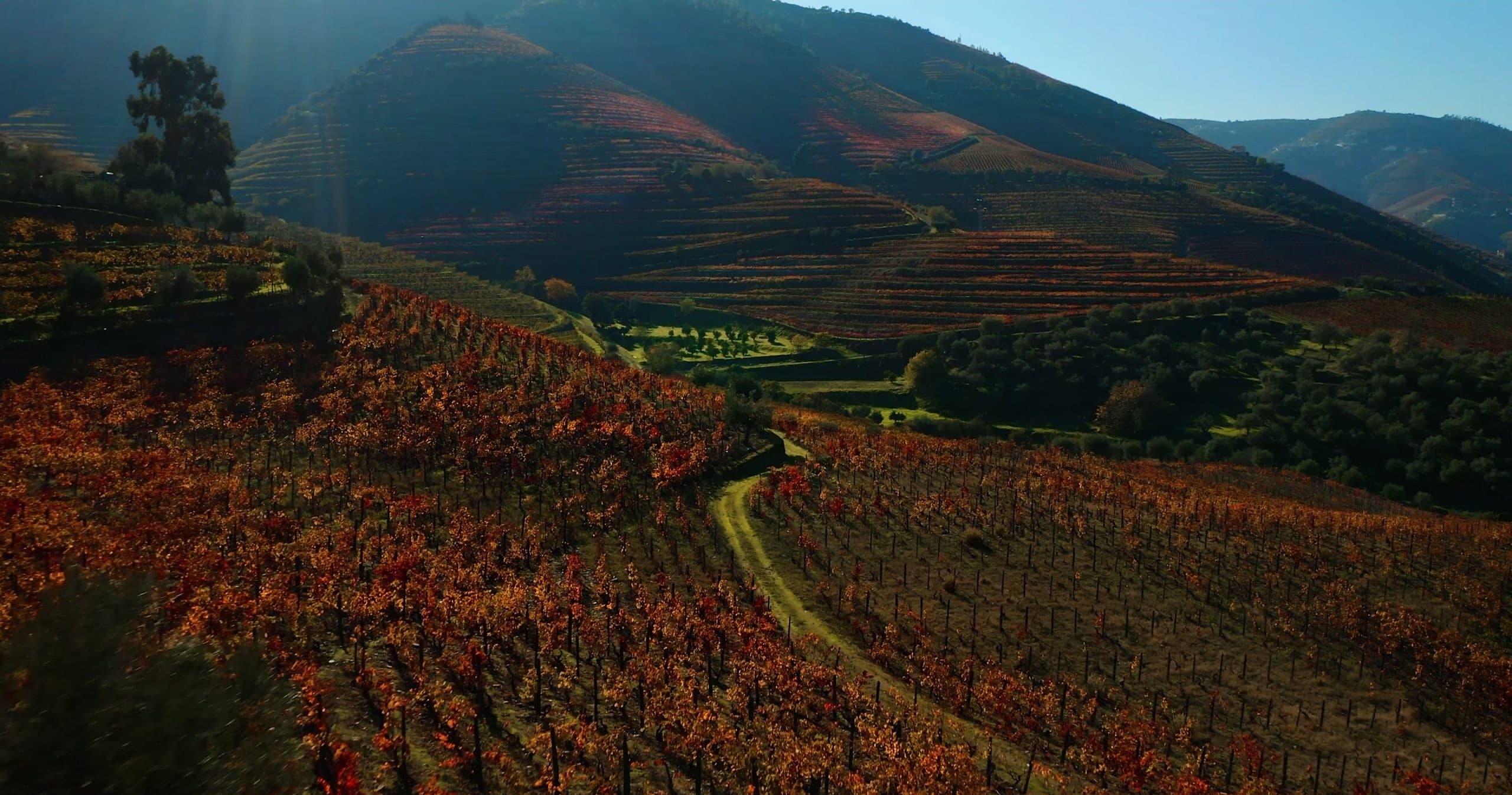Douro (All Year)