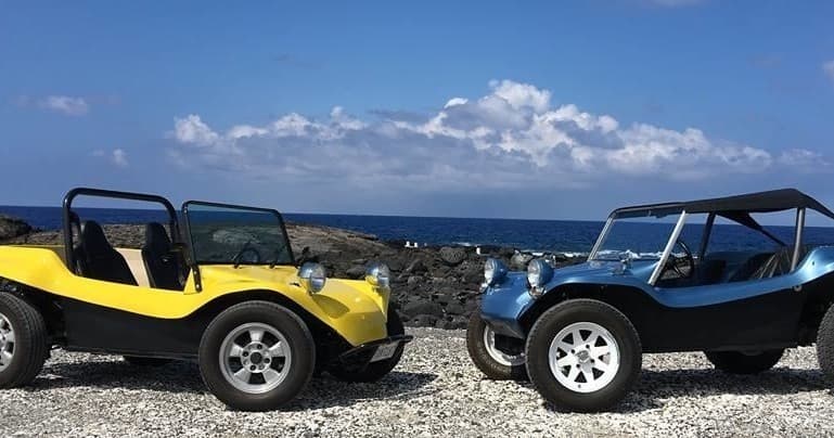 4 Hour Buggy Rental