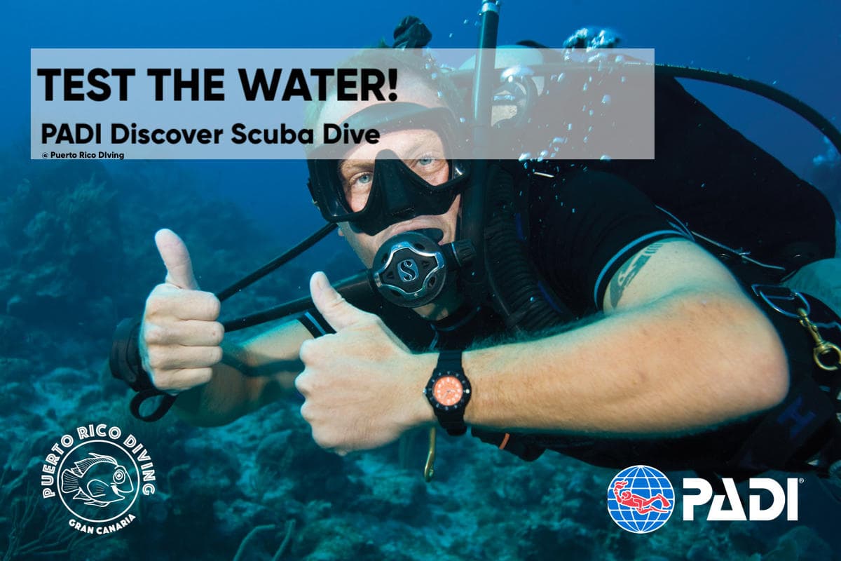 Discover Scuba Diving (Try Dives)