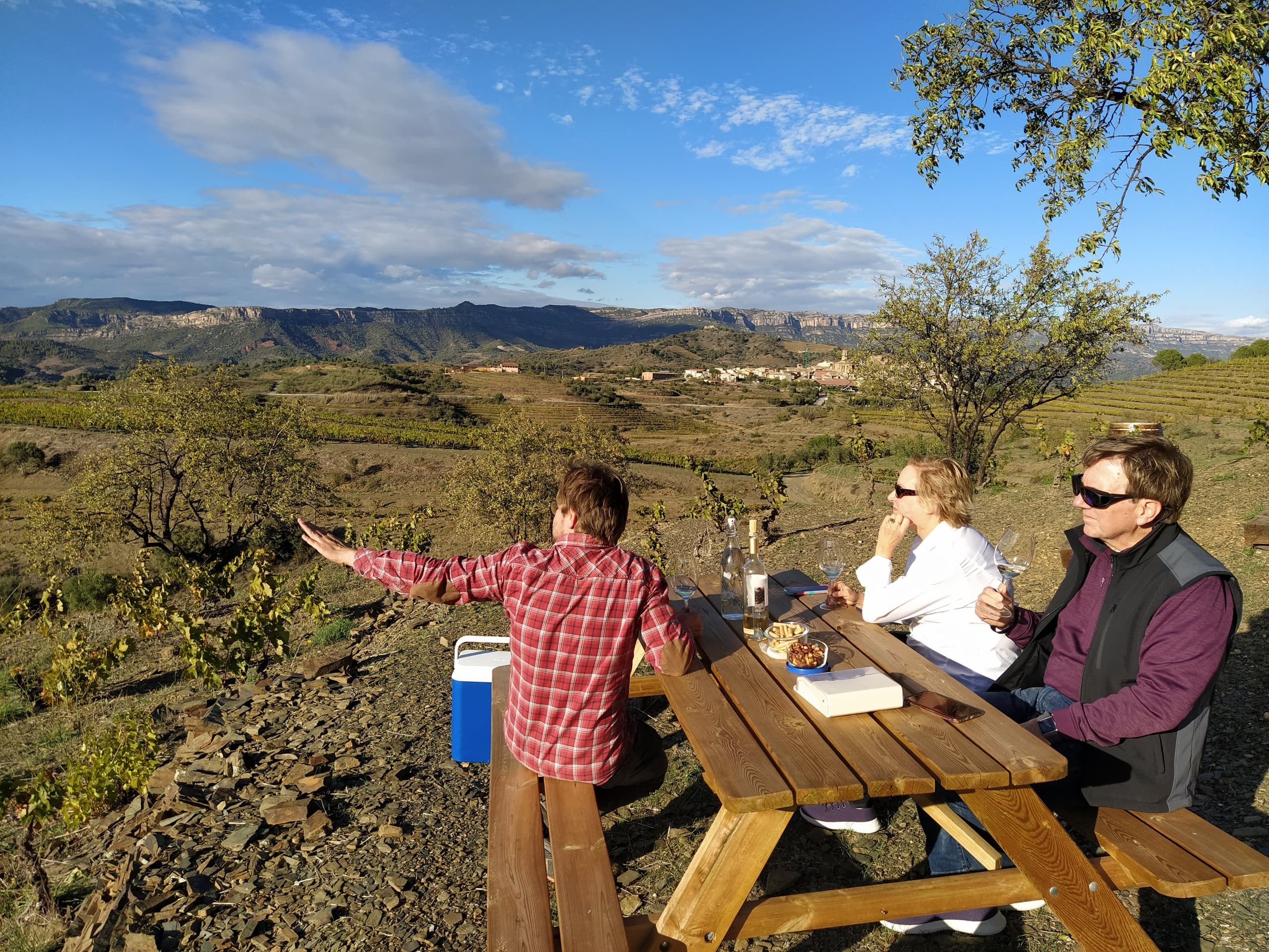 Ruta de cellers al Priorat: tast de vins amb personalitat i història