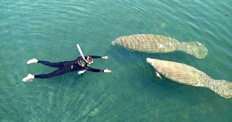 3 Hour Private Manatee Tour --- Larger Group Tours --  7 to 12 Guests