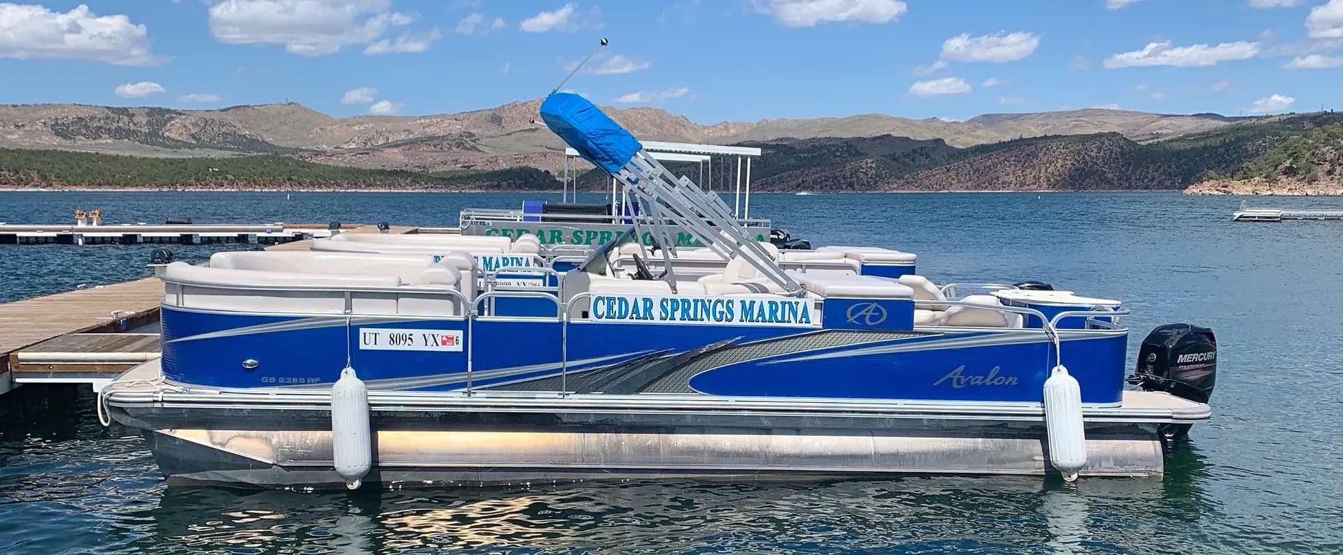 Avalon Pontoon