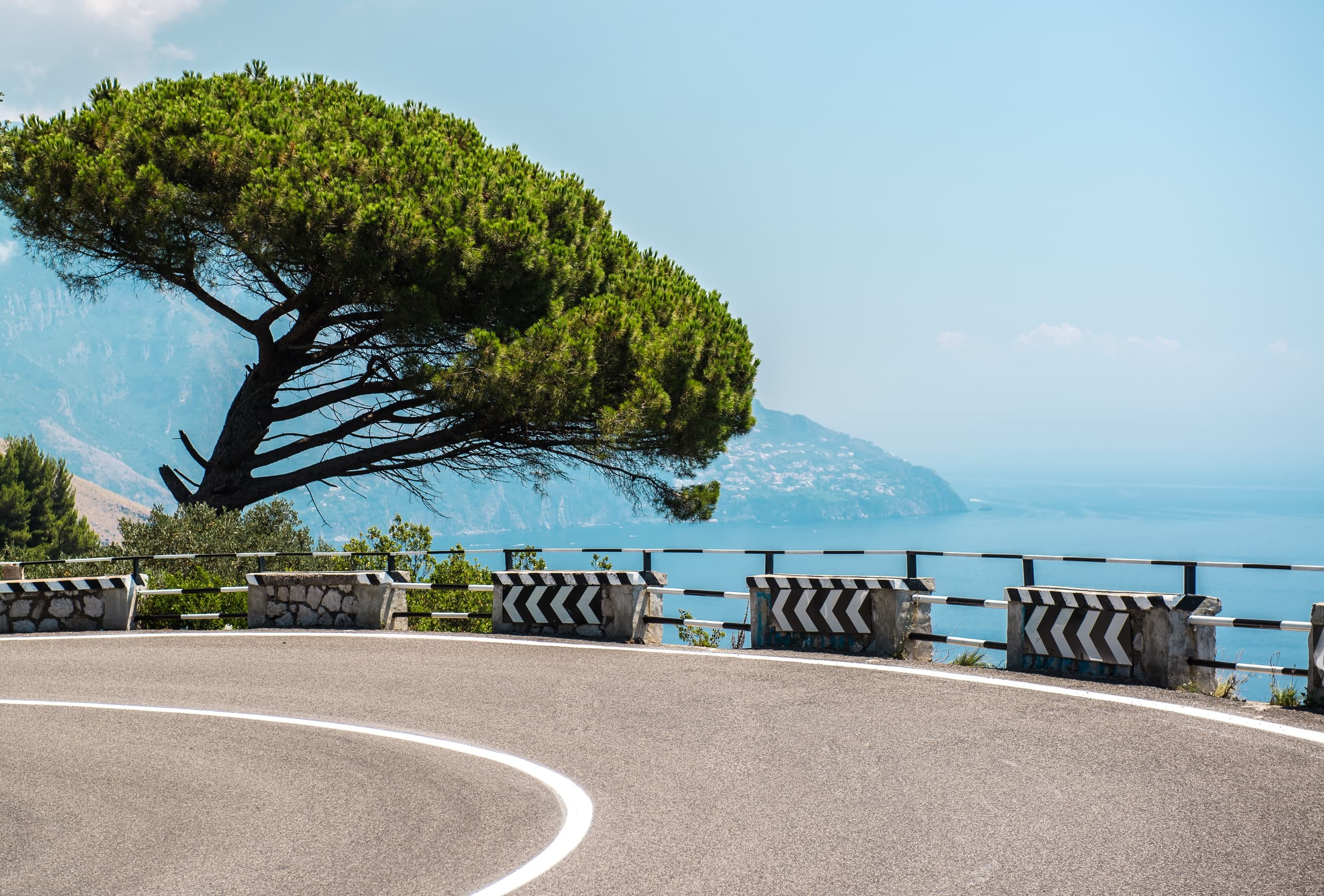 Transfer from Sorrento to Naples with Private tour in Herculaneum