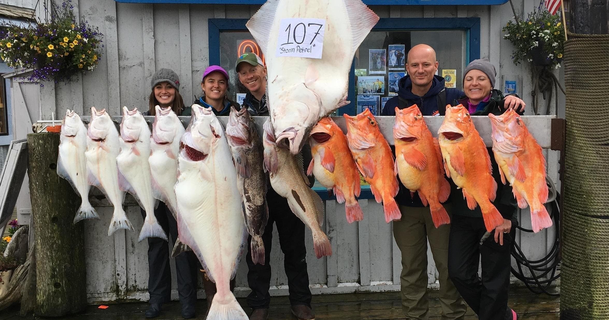Combo Trip on the Storm Petrel