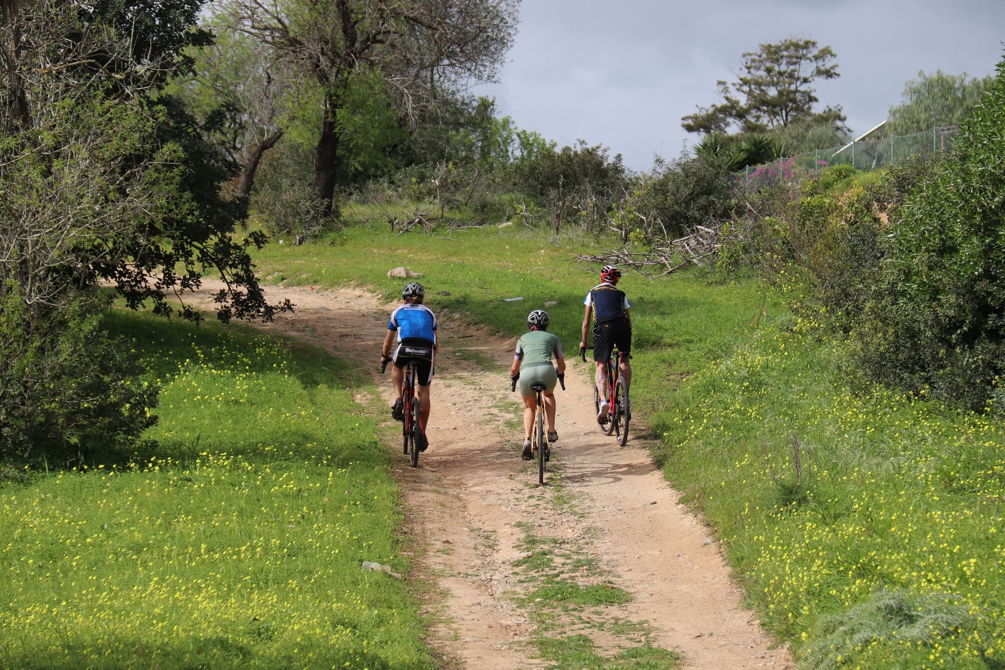 Gravelbike Tour Paderne & Alte