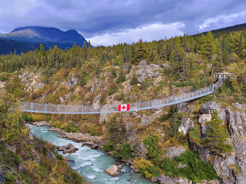 Private Tour - Yukon Suspension Bridge and Summit Views