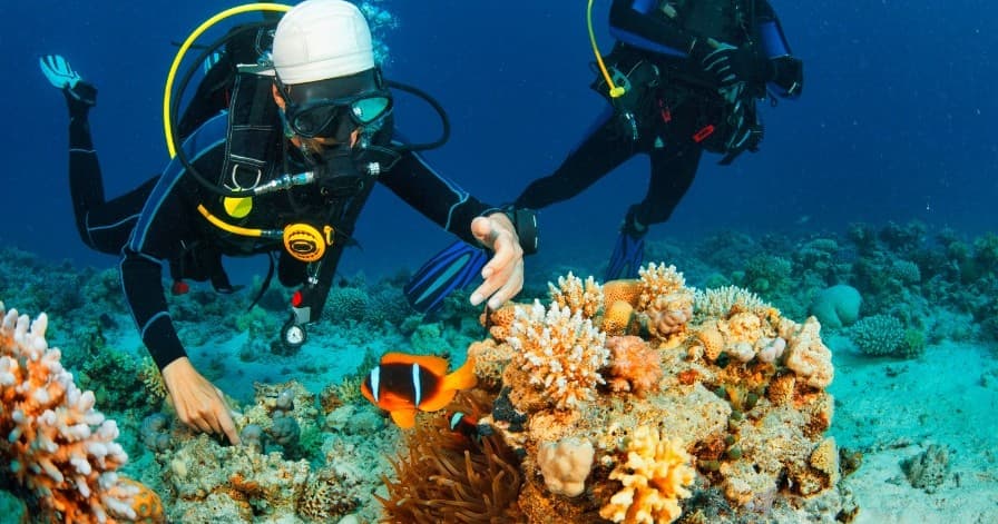 Discover Scuba