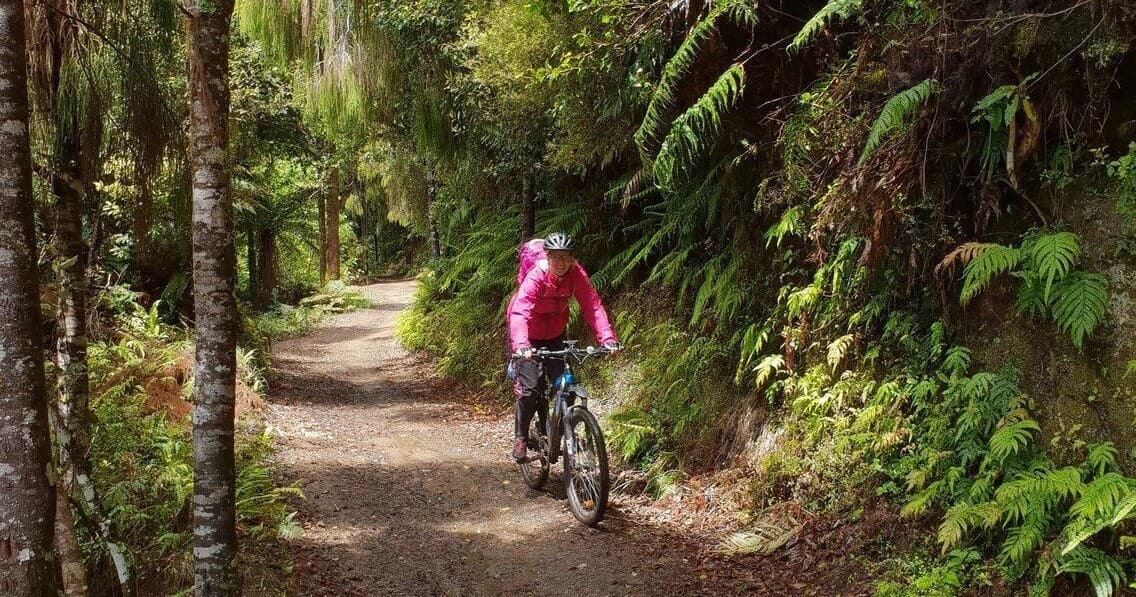 Three Day Mountain Bike Hire