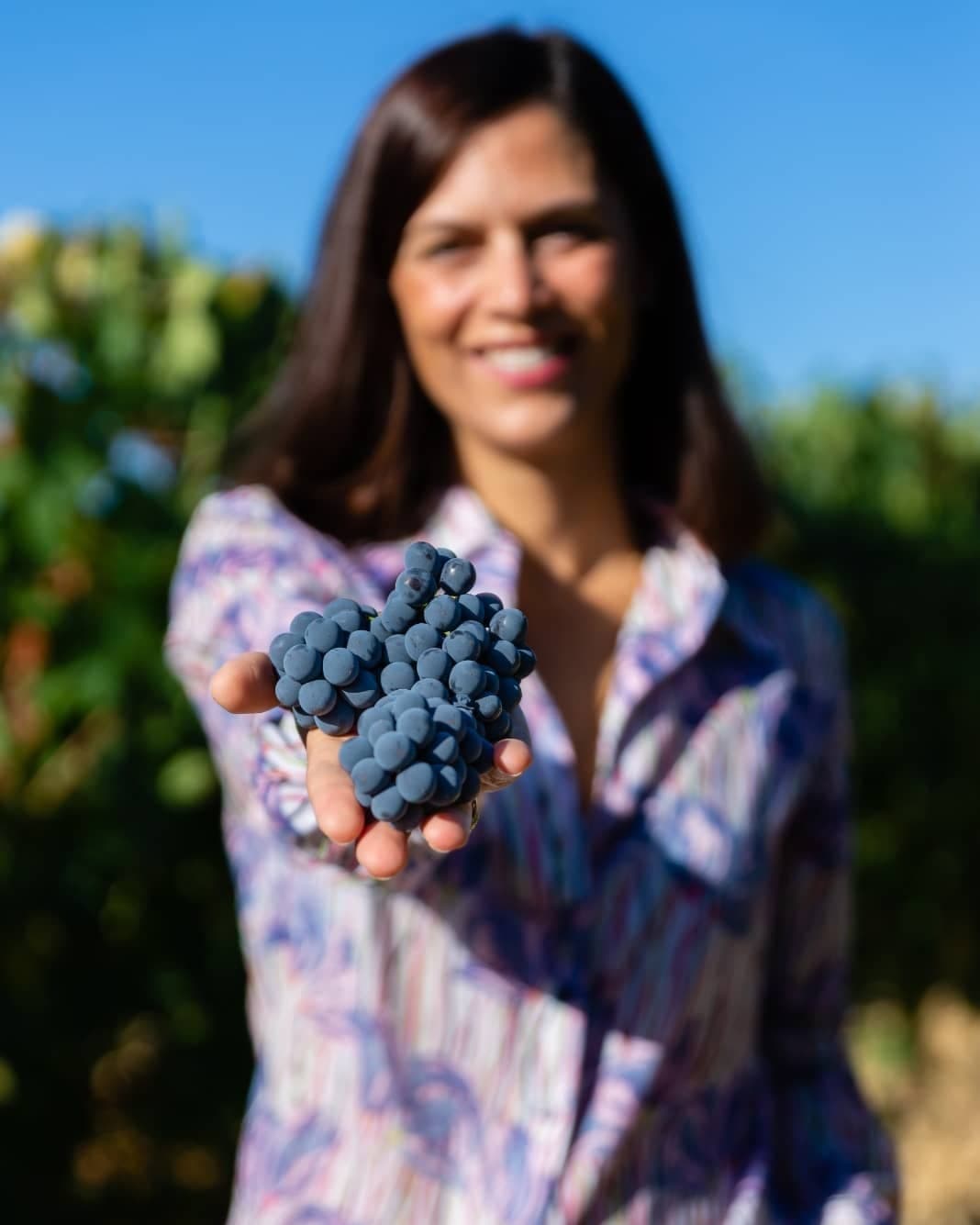 Private VIP - BRUNELLO & PECORINO - Wine & Cheese Tour in MONTALCINO & PIENZA - Val d'Orcia (Tuscany)