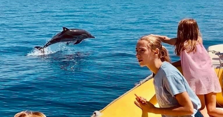 Private Dolphins Boat Tour