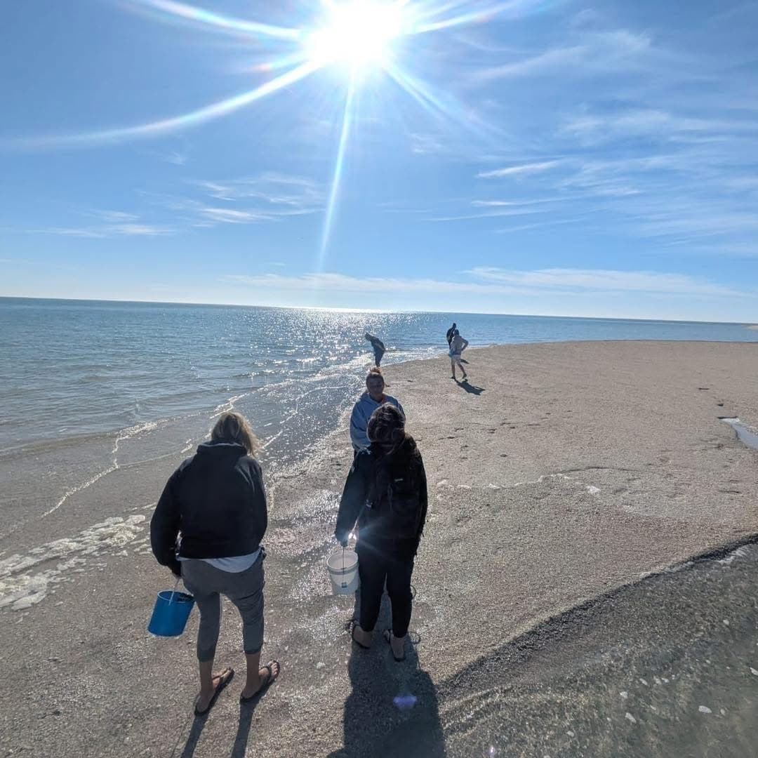 Self Guided Four Hour Shelling Tour