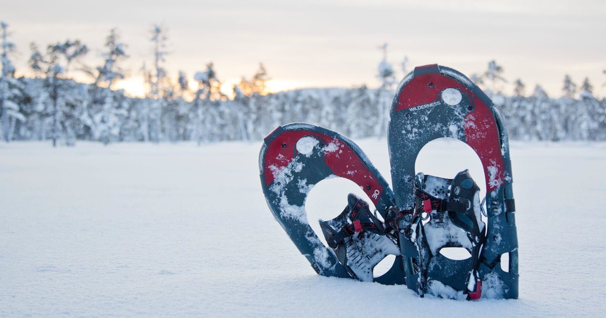 Gentle Snowshoeing