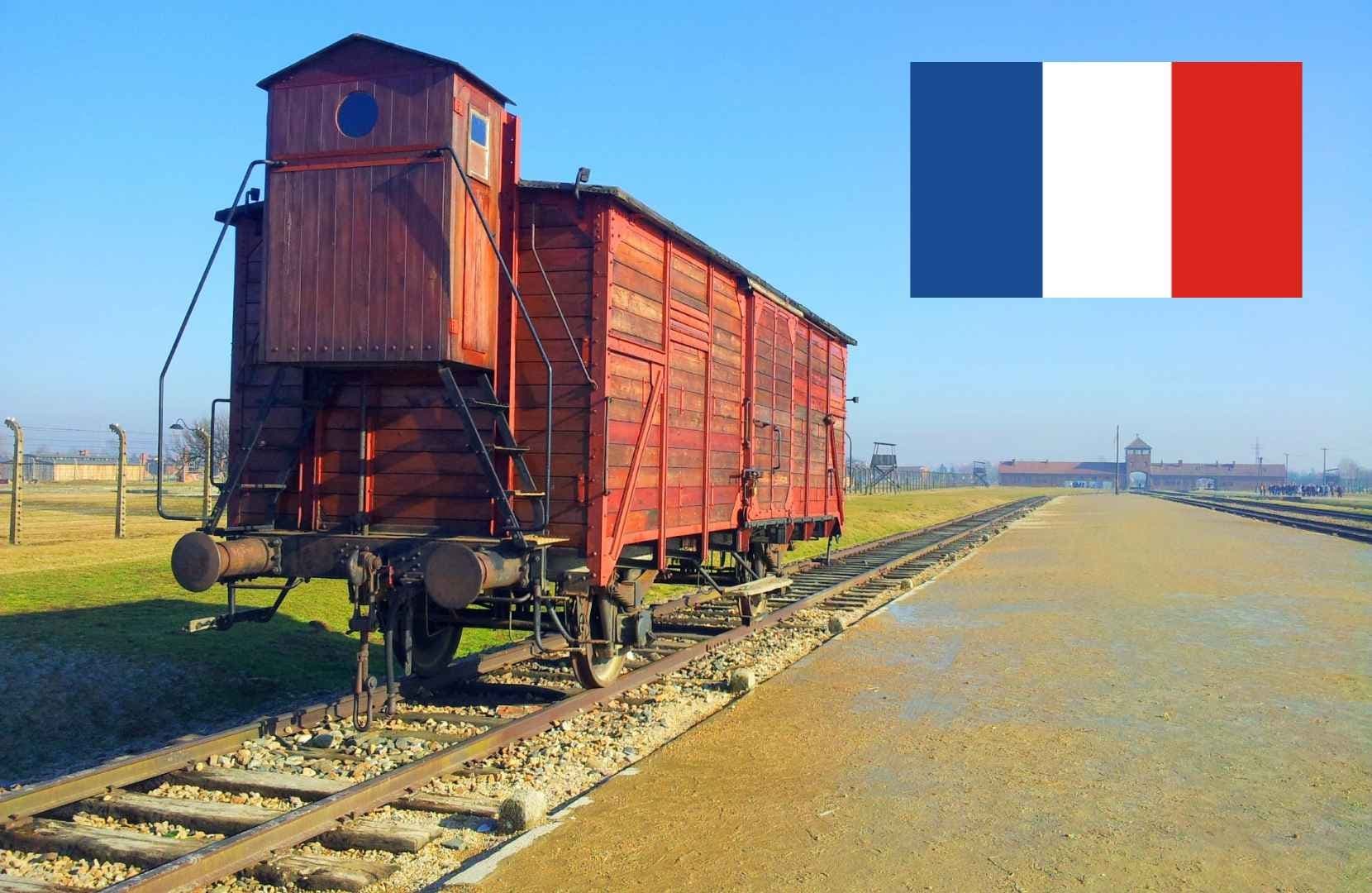 Auschwitz-Birkenau French Guide (Ticket Only)