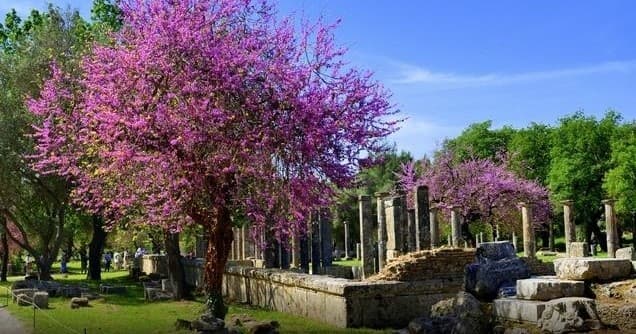 Nafplion: Ancient Olympia Tour