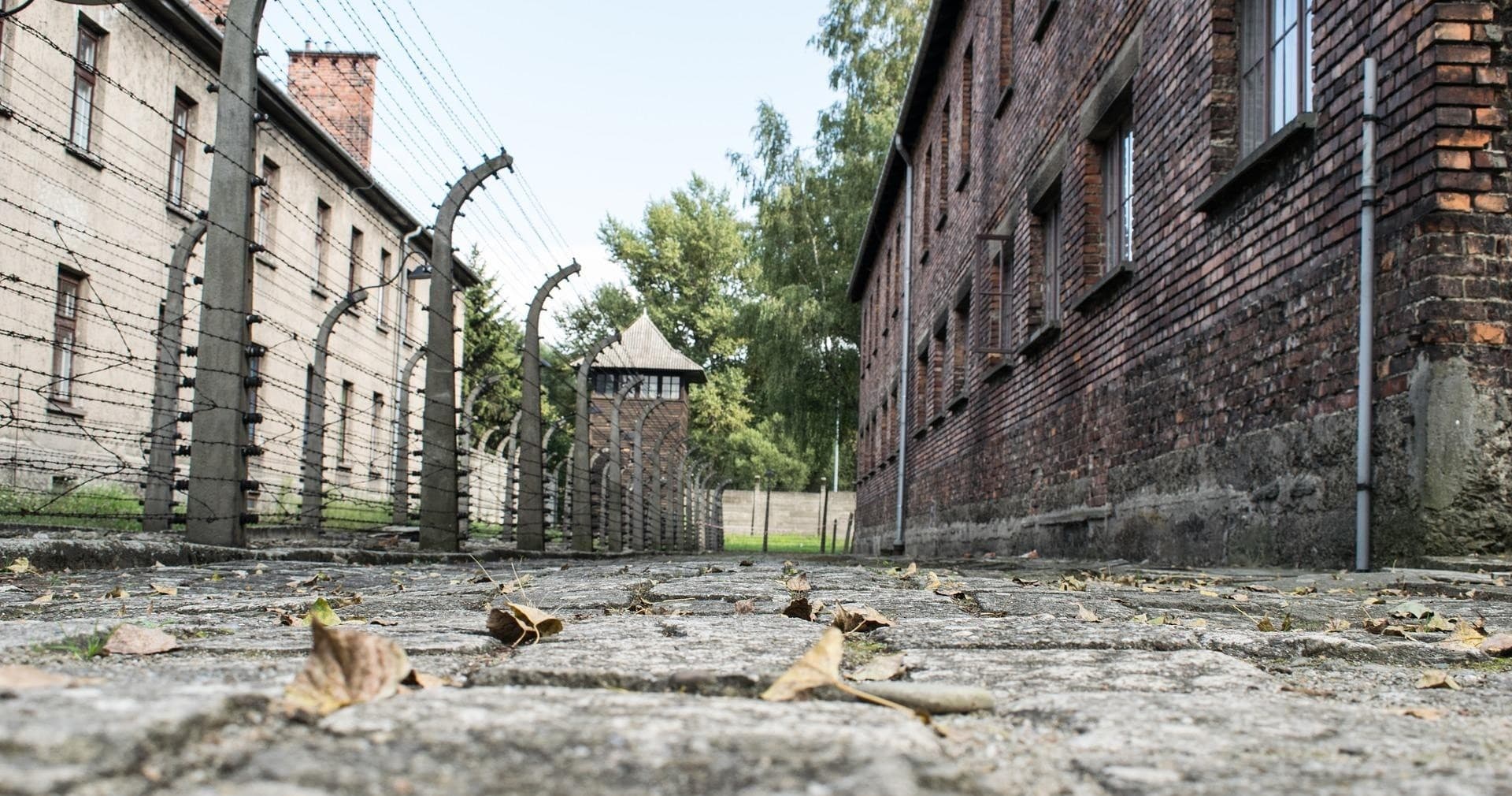 Auschwitz Birkenau Regular Tour