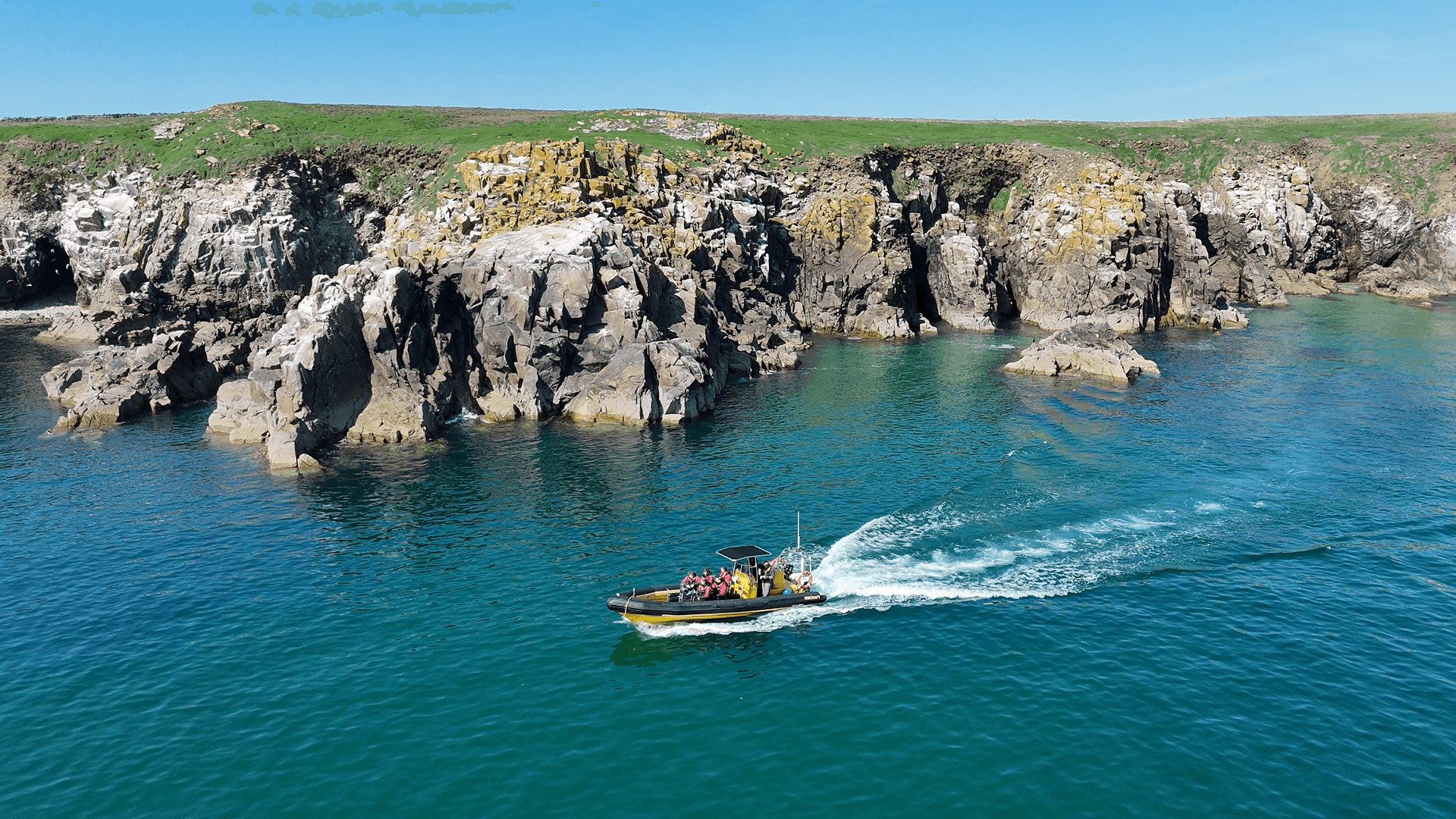 Saltee Sightseeing Sea Safari