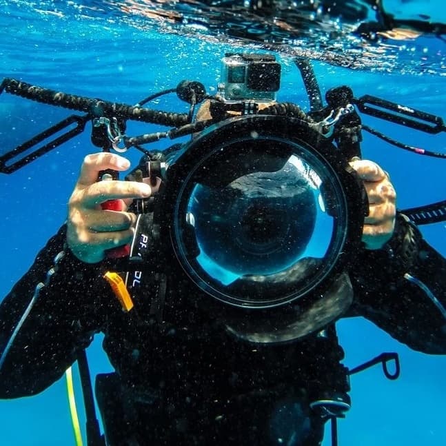 Specialty Underwater Photographer