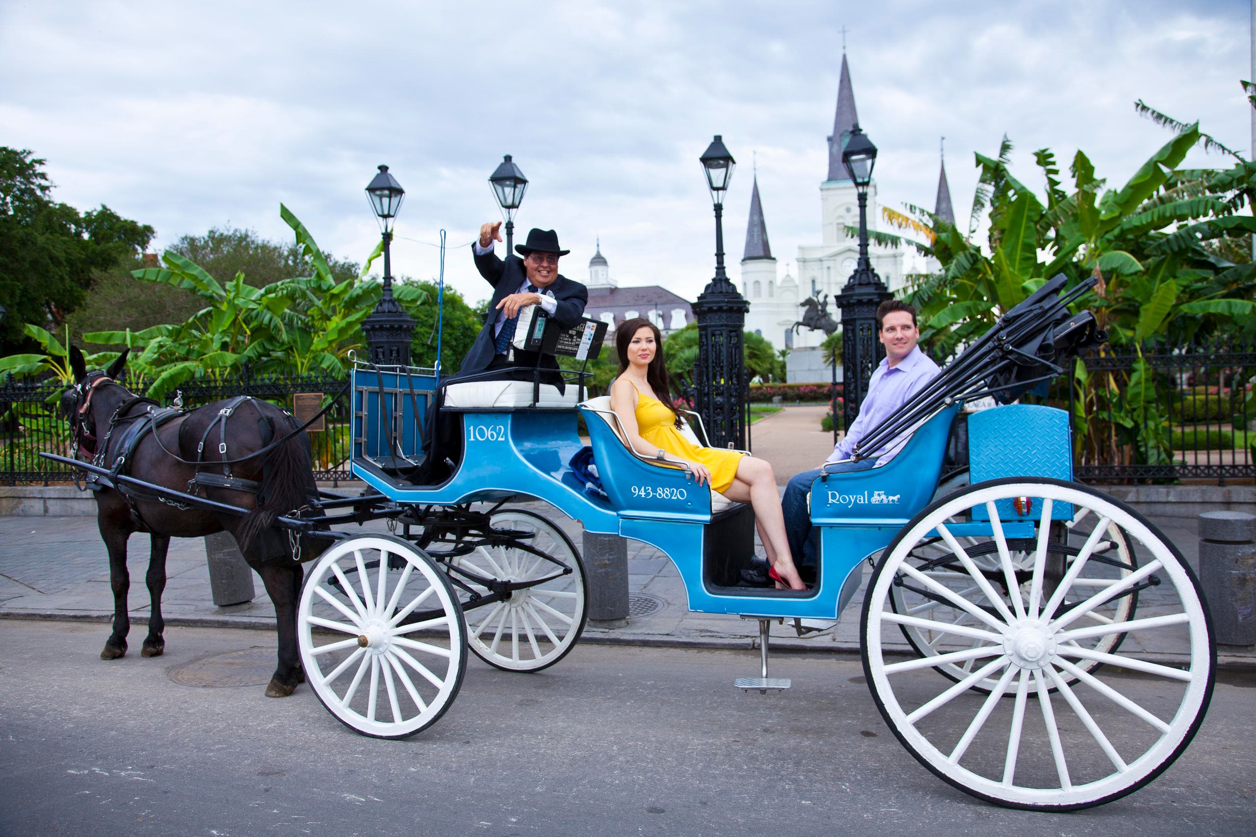 Private Carriage Tours