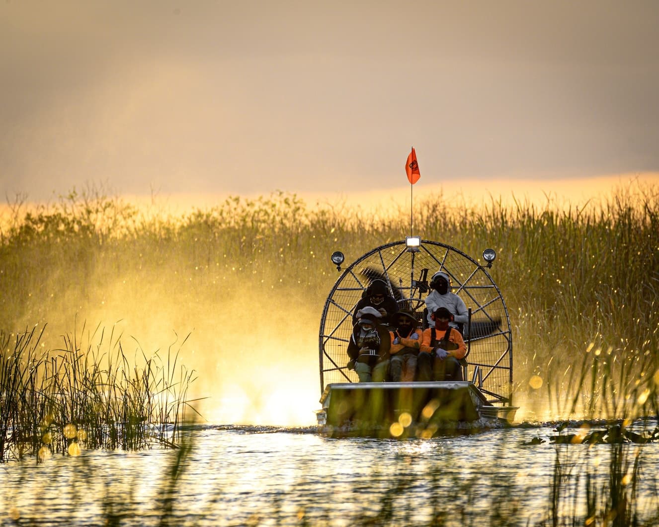Airboat Tour