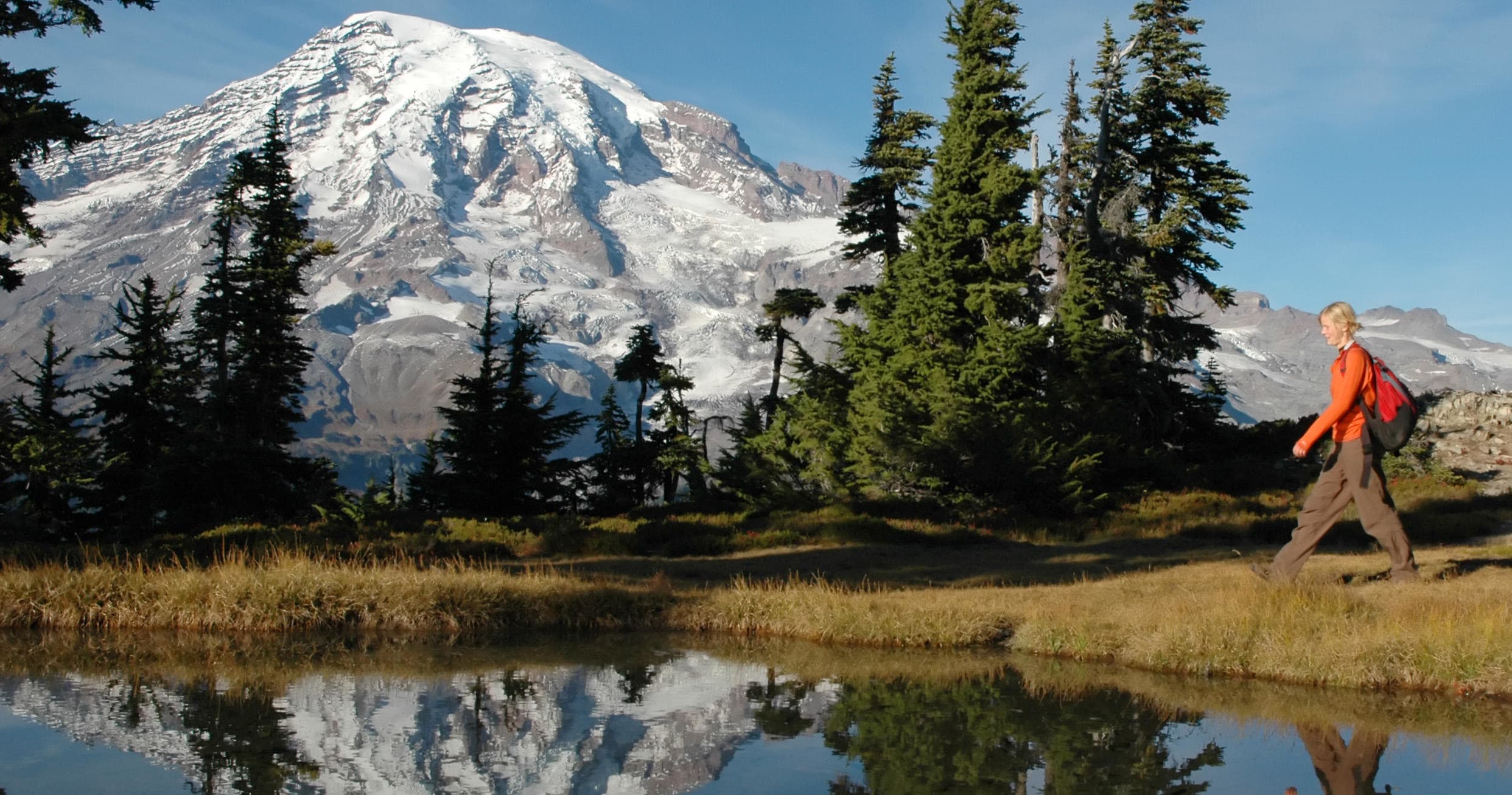 Mt. Rainier National Park Day Tour