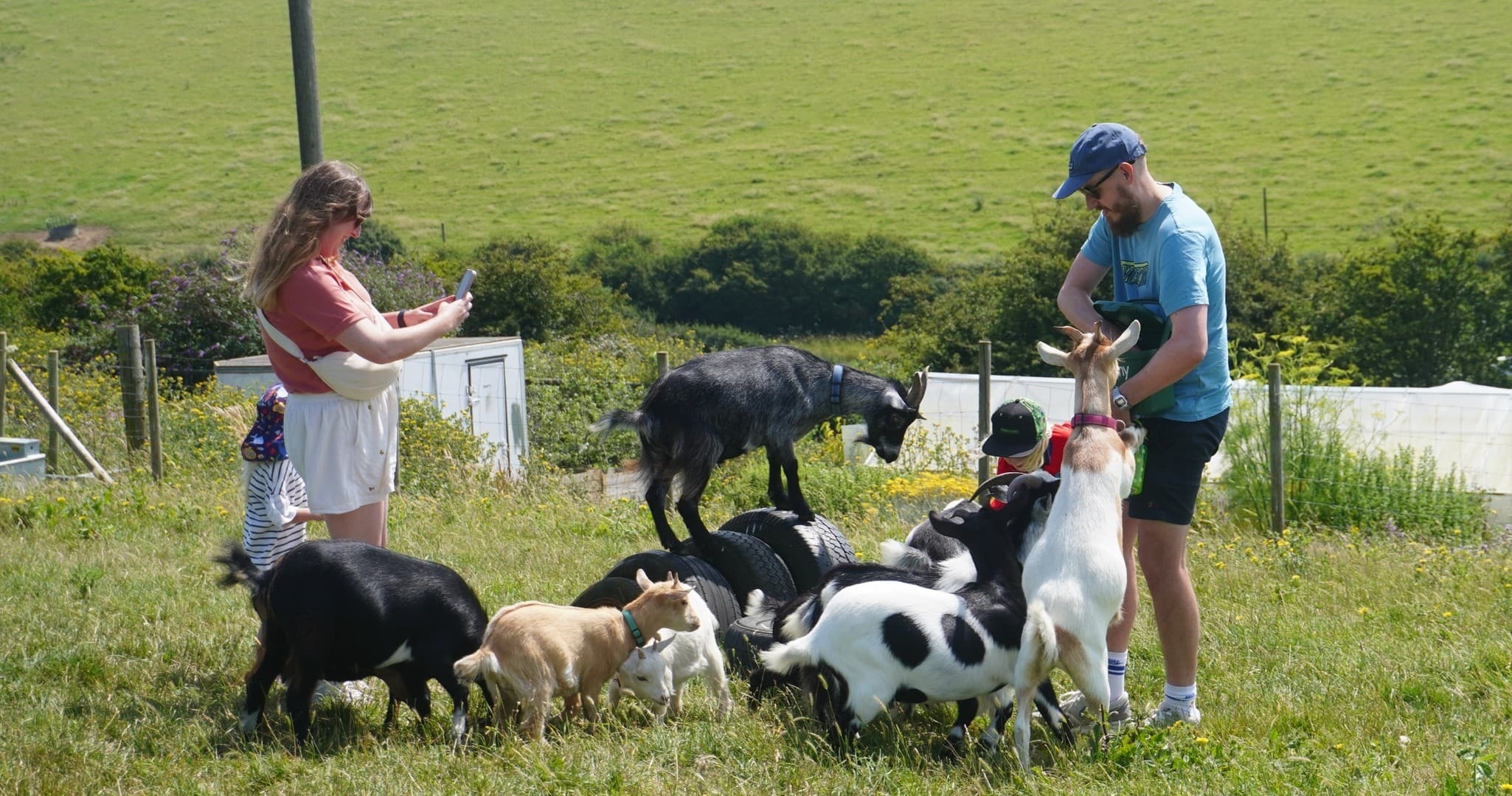 Goat Experience