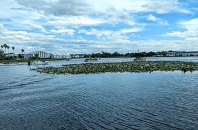 2 Hour Scenic Pontoon Day Cruise