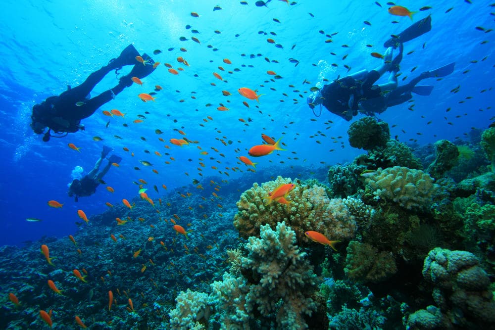 Advanced Open Water Certification